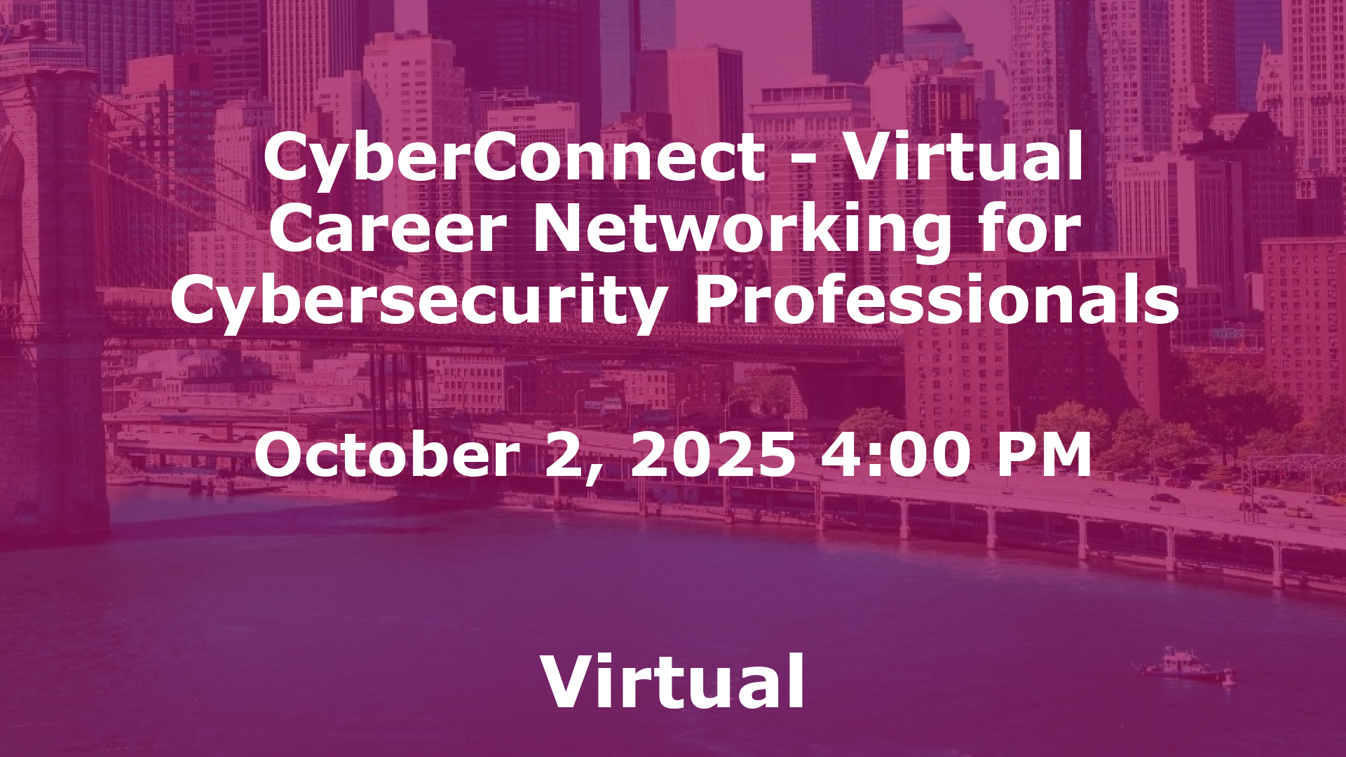 CyberConnect - Virtual Career Networking for Cybersecurity Professionals event image